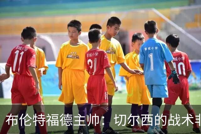 布伦特福德主帅：切尔西的战术非常有针对性 我们赛季开局确实好
